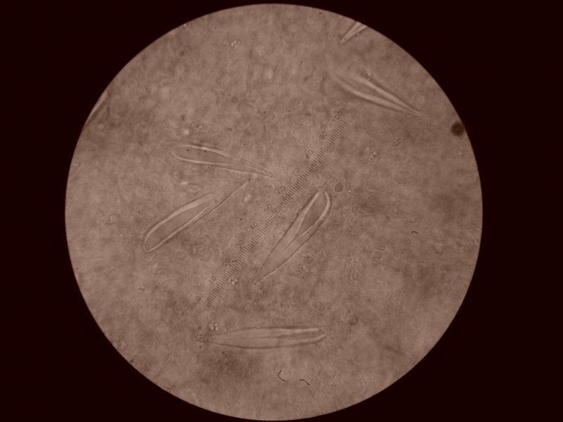 Da solo non ci riesco